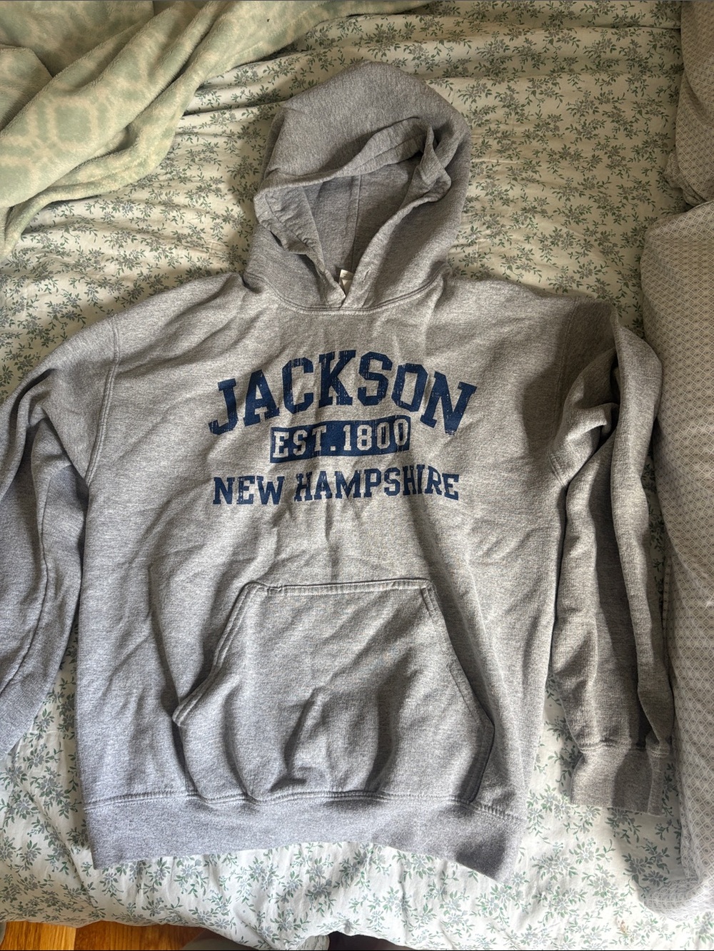 JACKSON Gray Hooded Sweatshirt with Blue Lettering